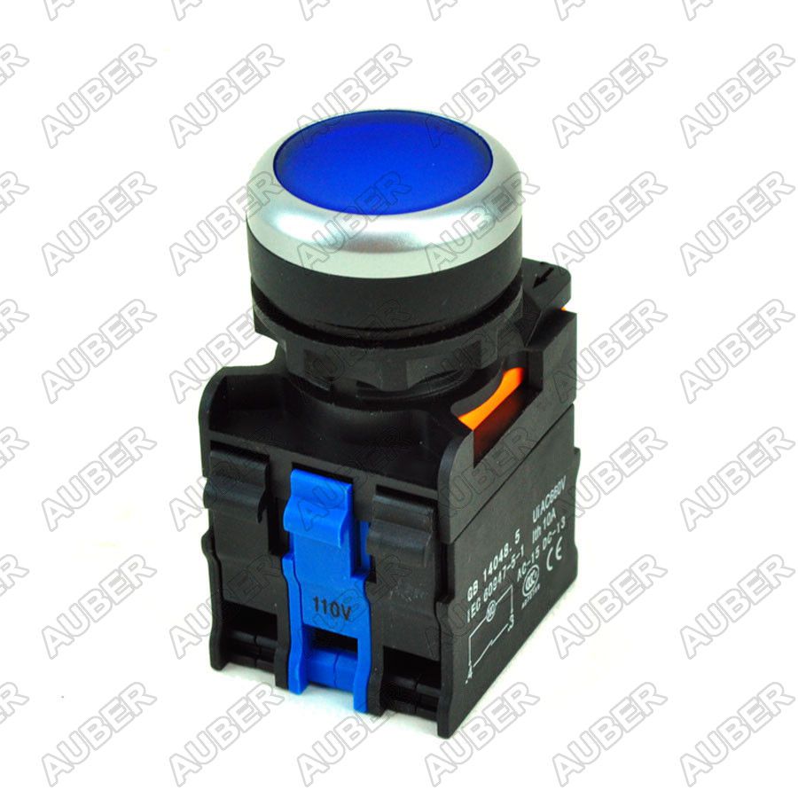 Illuminated Short Profile 22mm Pushbutton Maintained / Momentary - Click Image to Close