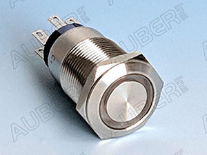 RGB Color Illuminated Metal Momentary Push Button Switch,19mm 6V